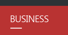 BUSINESS 